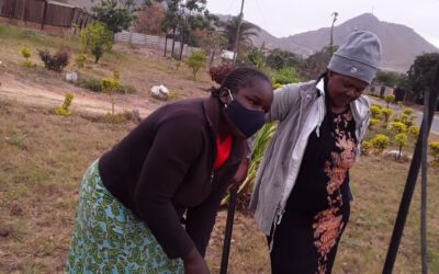 Planting trees to empower women and restore the environment