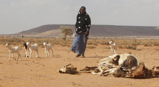 Action for Women & Children Concern (AWCC):  Protracted Armed Conflicts and Climate Change obstacles to realisation of SDGs in Somalia