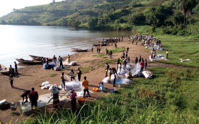 DR Congo: A Nation Longing for Peace