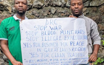 Securing Peace in Congo and Strategic Raw Materials for a Just Energy Transition in the World