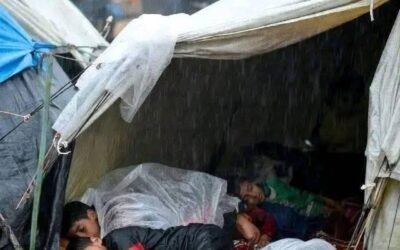 All our lives we have been waiting for peace in Gaza