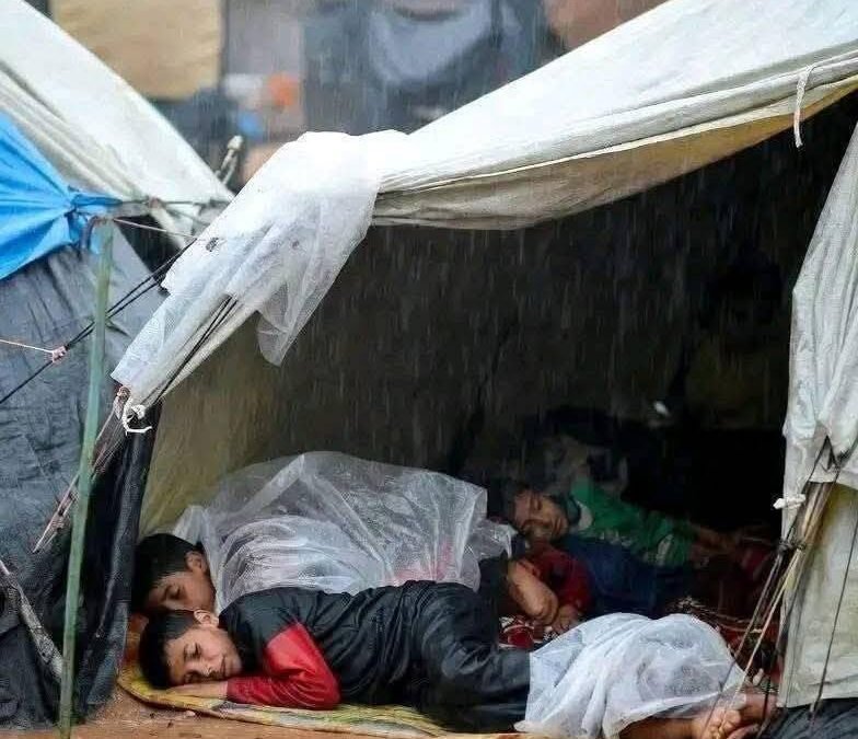 All our lives we have been waiting for peace in Gaza