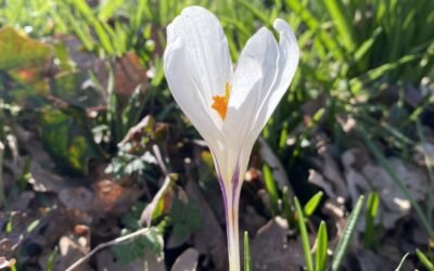 Stop the war in Iran and the Middle East